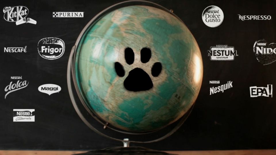 HISTORIA DE PURINA 