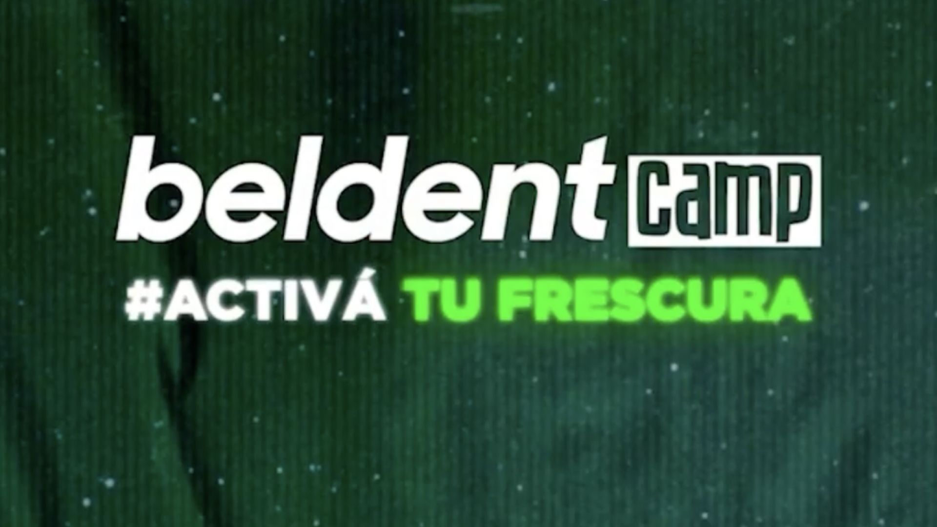 beldent